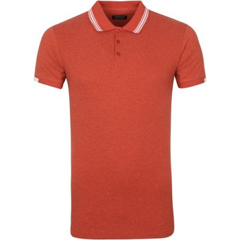 Vêtements Homme T-shirts & Polos Dstrezzed Polo Popcorn Rouge Mélangé Rouge