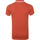 Vêtements Homme T-shirts & Polos Dstrezzed Polo Popcorn Rouge Mélangé Rouge