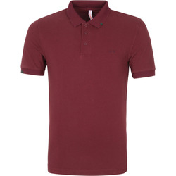 Vêtements Homme Shorts & Bermudas Sun68 Polo Vintage Solid Bordeaux Rouge Rouge