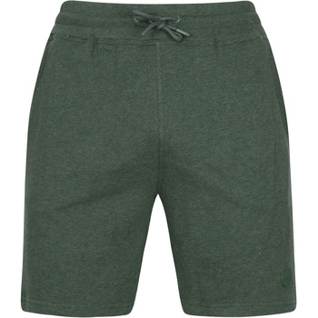 Vêtements Homme Pantalons Shiwi  Vert