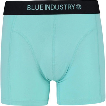 Sous-vêtements Homme Boxers Blue Industry  Vert