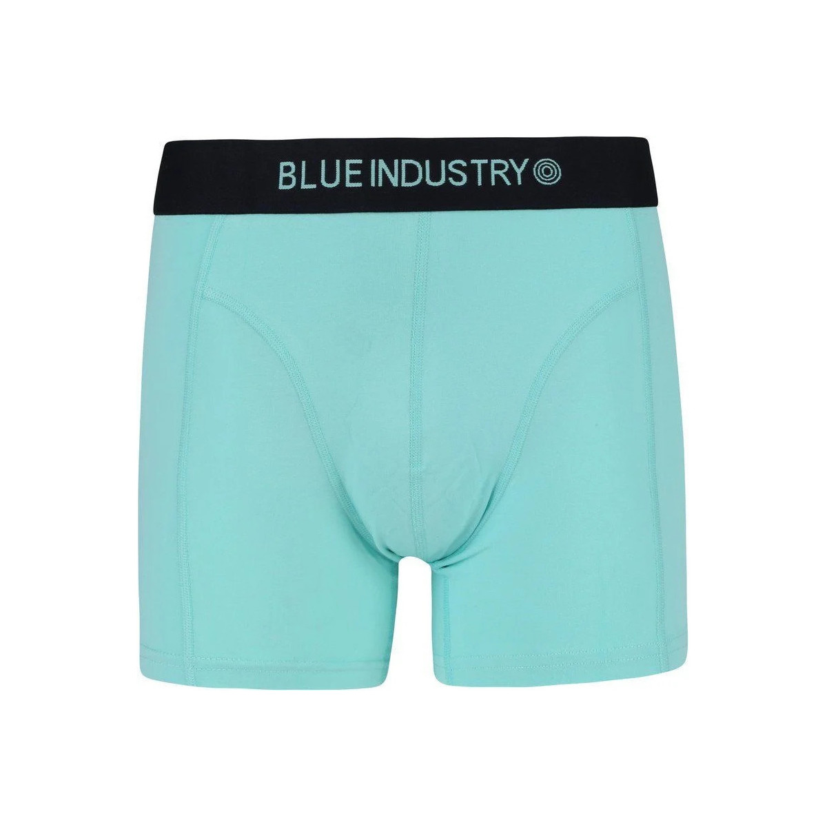 Sous-vêtements Homme Caleçons Blue Industry Boxer-short Menthe Vert