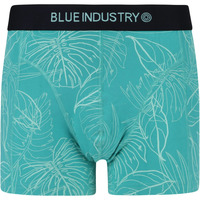 Sous-vêtements Homme Boxers Blue Industry  Vert