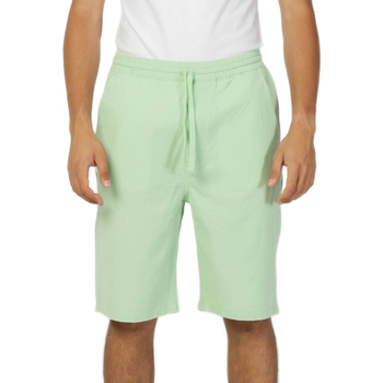 Vêtements Homme Shorts / Bermudas Lee L70KSAUX Vert