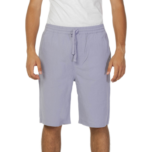 Vêtements Homme Shorts / Bermudas Lee L70KSAUU Violet