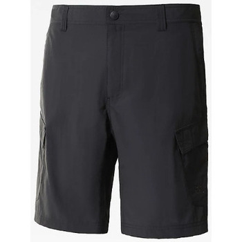 Vêtements Homme Shorts / Bermudas The North Face Horizon Short Autres