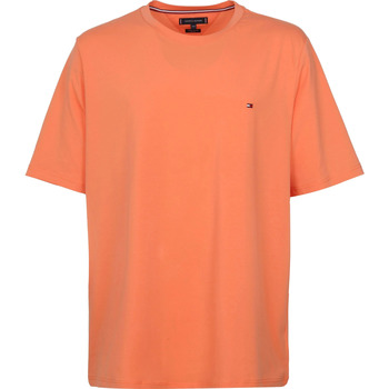 Vêtements Homme T-shirts manches courtes Tommy Hilfiger  Orange