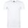 Vêtements Homme T-shirts & Polos Alan Red T-Shirts Ottawa Stretch Blanc (Lot de 2) Blanc