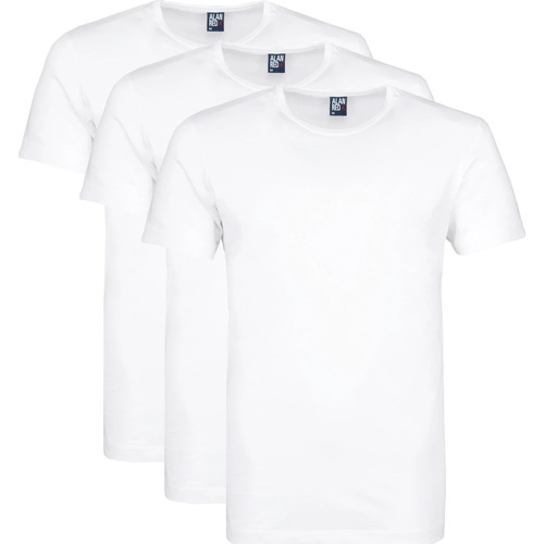 Vêtements Homme T-shirts & Polos Alan Red T-Shirts Derby Col Rond Boîte-Cadeau Blanc (Lot de 3) Blanc