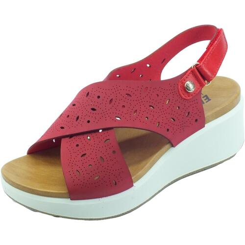 Chaussures Femme Scotch & Soda Enval 1782944 Bambi Rouge