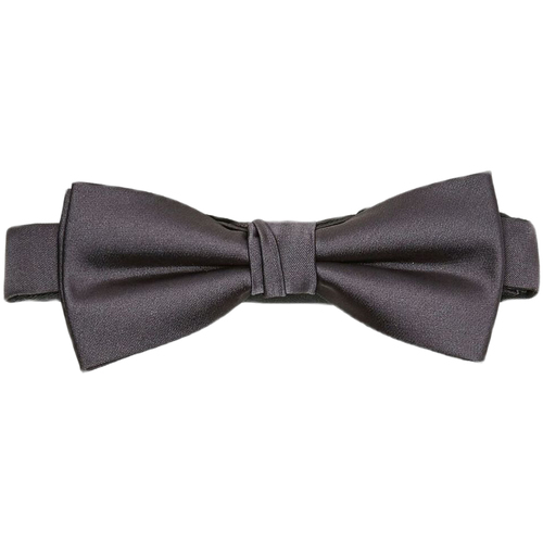 Vêtements Homme Cravates et accessoires Selected 16033669 Gris