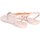 Chaussures Femme Tongs Ipanema 26677 Rose