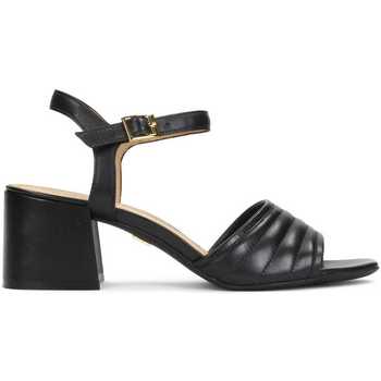 Chaussures Femme Sandales et Nu-pieds Kazar SAGE Sandales noires pour femmes Noir
