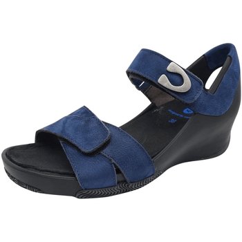 Chaussures Femme Sandales et Nu-pieds Wolky  Bleu