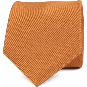 Vêtements Homme Cravates et accessoires Suitable  Marron
