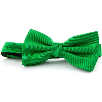 Vêtements Homme Cravates et accessoires Suitable Noeud Papillon Smoking Soie Vert Emeraude F68 Vert