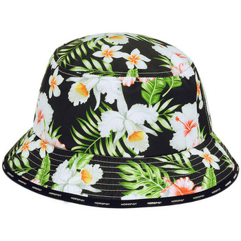 chapeau horspist  picaso hibiscus 