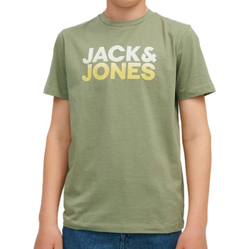 Vêtements Garçon T-shirts manches courtes Jack & Jones 12213560 Vert
