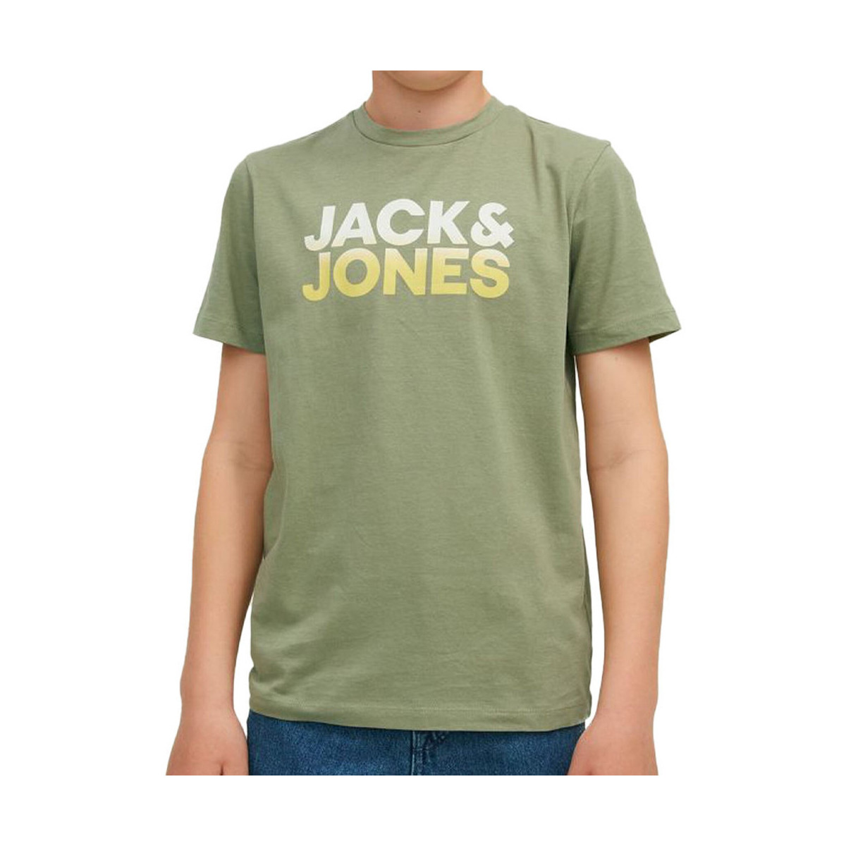 Vêtements Garçon T-shirts & Polos Jack & Jones 12213560 Vert