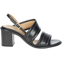 Chaussures Femme Sandales et Nu-pieds Paola Ferri D7746 Noir