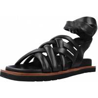 Chaussures Femme Sandales et Nu-pieds Elvio Zanon EQ0906X Noir
