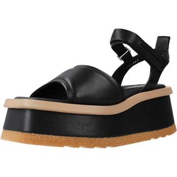 Chaussures Femme Sandales et Nu-pieds Elvio Zanon EQ5201X Noir