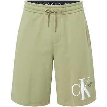 Vêtements Homme Maillots / Shorts de bain Calvin Klein Jeans J30J320067 Vert