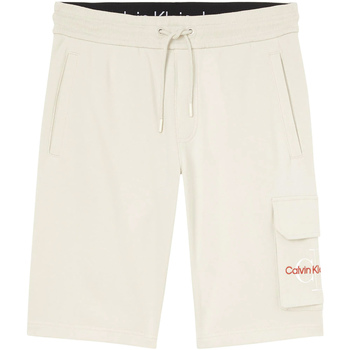 Vêtements Homme Maillots / Shorts de bain Calvin Klein Jeans J30J320073 Beige