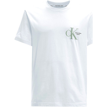 Vêtements Homme T-shirts & Polos Calvin Klein Jeans J30J320196 Blanc