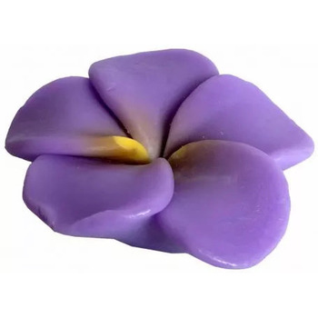 Beauté Soins corps & bain Pokhara - Lampes à poser Iris violet - 105g Violet