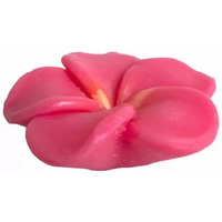 Beauté Soins corps & bain Pokhara - Savon Fleur - Parfum Pivoine - 105g Rose