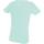 Vêtements Homme T-shirts manches courtes La Maison Blaggio Melrose bay mc tee Bleu
