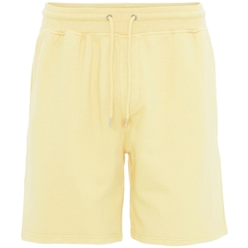 Vêtements Shorts / Bermudas Colorful Standard Short  Classic Organic soft yellow soft yellow