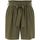 Vêtements Femme Shorts / Bermudas Pieces 17103514 VERT-GRAPE LEAF Vert