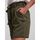 Vêtements Femme Shorts / Bermudas Pieces 17103514 VERT-GRAPE LEAF Vert