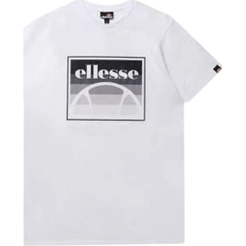 Vêtements Homme T-shirts manches courtes Ellesse 192433 Blanc