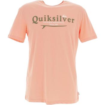 Vêtements Homme T-shirts polo manches courtes Quiksilver Silver lining rse mc tee Rose
