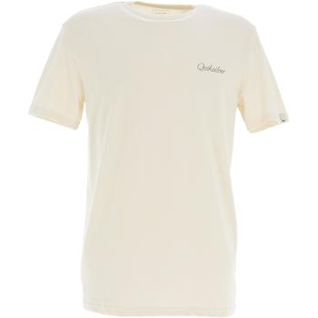 Vêtements Homme T-shirts polo manches courtes Quiksilver Paradise flaxton Beige
