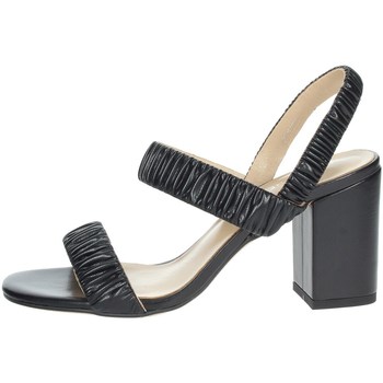 Chaussures Femme Paniers / boites et corbeilles Silvian Heach SHS537 Noir