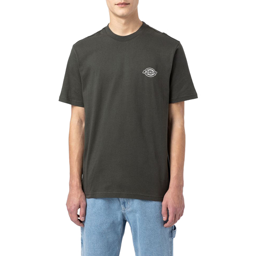 Vêtements Homme Black Plus Long Sleeve Basic T-shirt Dickies DK0A4Y3AOGX1 Vert