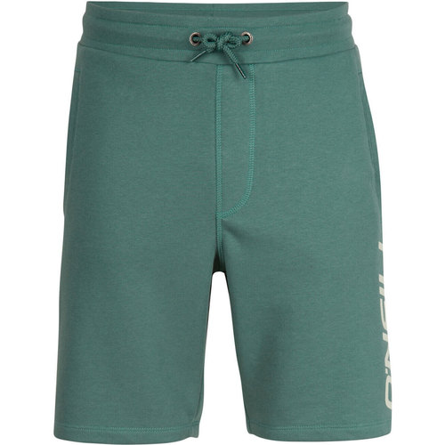 Vêtements Homme Shorts / Bermudas O'neill Essentials Vert