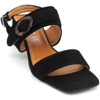 Shemerry Noir - Chaussures Sandale Femme 69,95 €