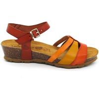 Chaussures Femme Sandales et Nu-pieds YOKONO  Multicolore