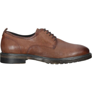 Chaussures Homme Derbies Geox Chaussures basses Marron