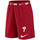 Vêtements Shorts / Bermudas Nike Short MLB Philadephia Phillies Multicolore