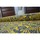 Maison & Déco Tapis Rugsx Tapis Vintage Fleurs 22209/025 jaune 140x200 cm Jaune