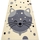 The Indian Face Tapis Rugsx Tapis BCF FLASH Kitten 3998 - minou 200x300 cm Beige