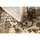 Maison & Déco Tapis Rugsx Tapis en laine POLONIA KORDOBA sépia (2) 200x300 cm Marron