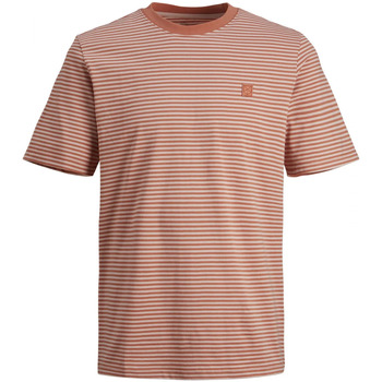 Vêtements Homme T-shirts manches courtes Premium By Jack & Jones 127067VTPE22 Orange