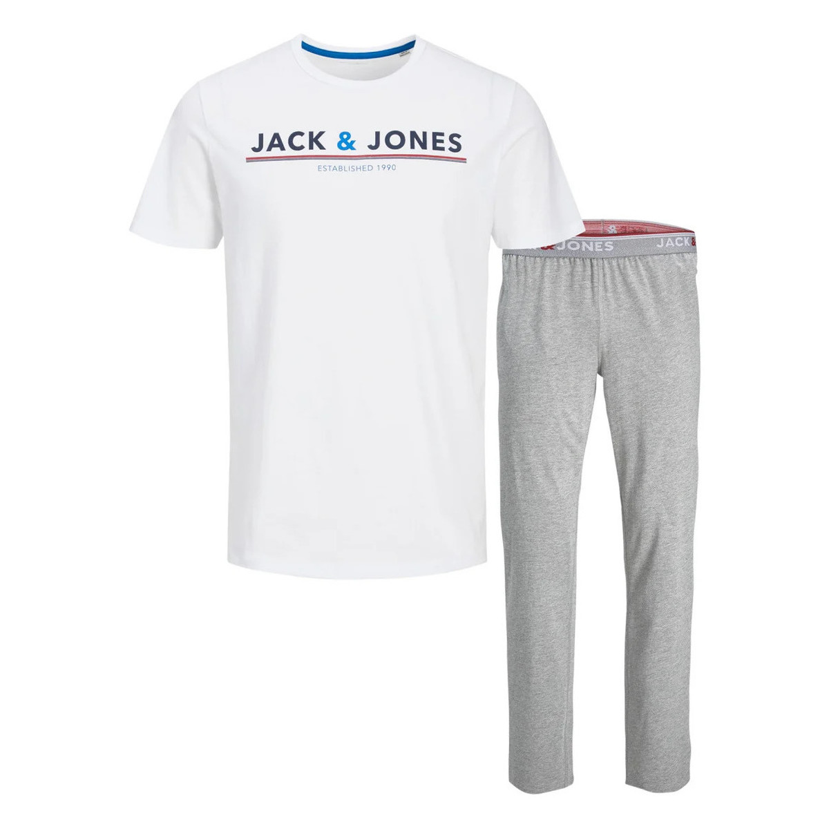 Vêtements Homme Pyjamas / Chemises de nuit Jack & Jones 129412VTPE22 Multicolore